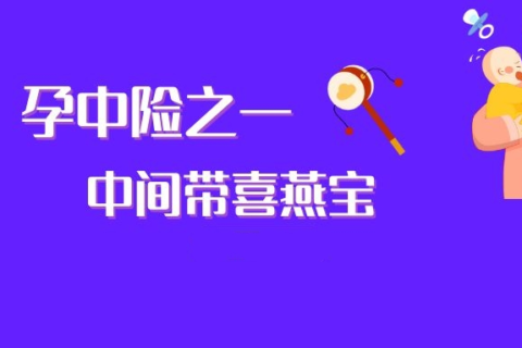 中间带喜燕宝2022母婴高端医疗保险(中国大陆版)-保险超市
