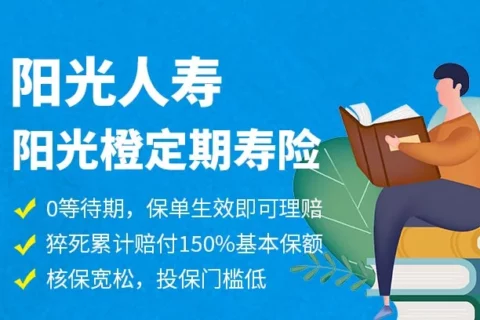 阳光人寿阳光橙定期寿险-保险超市