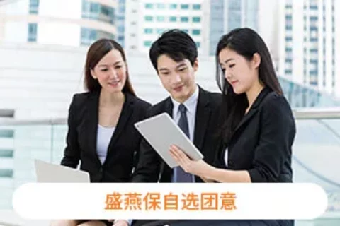 盛燕保安盛天平自选团意2022-保险超市