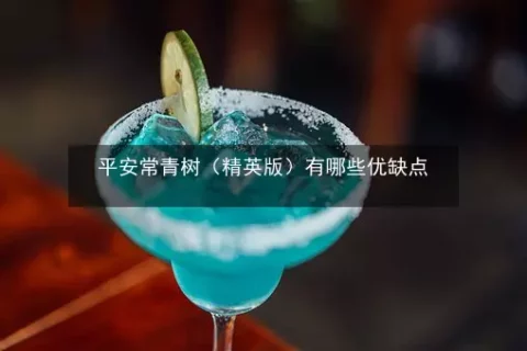 平安常青树精英版(平安意外险)-保险超市