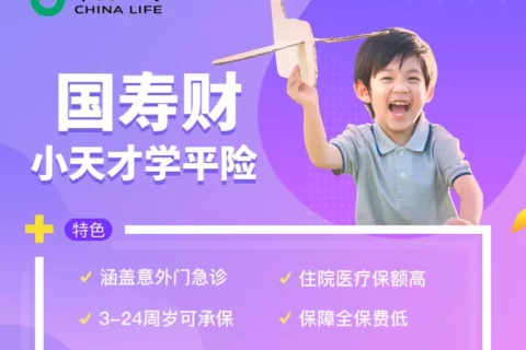 国寿财“小天才”学平险-保险超市