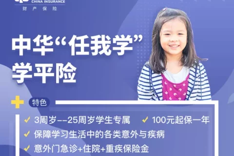 中华“任我学”学平险-保险超市