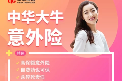 中华大牛意外险-保险超市