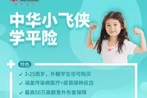 中华小飞侠学平险-保险超市