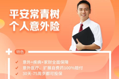 平安常青树个人意外险-保险超市