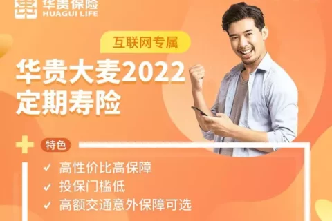 华贵大麦2022定期寿险(互联网专属)-保险超市