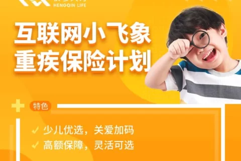 横琴互联网小飞象重大疾病保险计划-保险超市