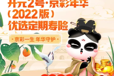 北京人寿开元2号·京彩年华(2022 版)优选定期寿险-保险超市
