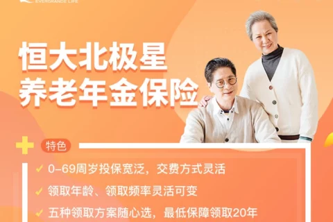恒大北极星养老年金保险-保险超市