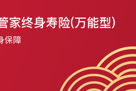 国华鑫管家终身寿险(万能型)-保险超市