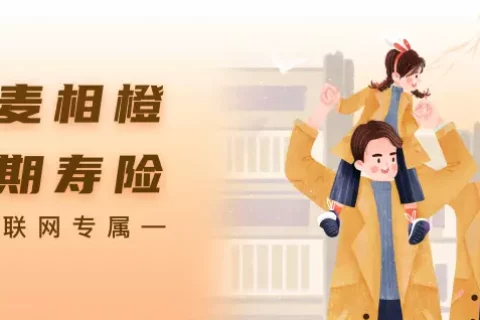华贵一麦相橙定期寿险-保险超市