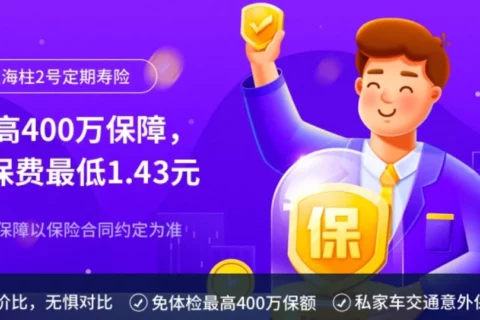 鼎诚定海柱2号定期寿险-保险超市