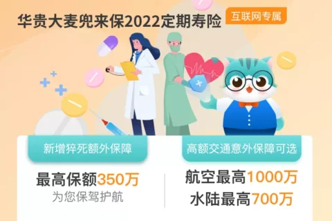 华贵大麦兜来保2022定期寿险-保险超市