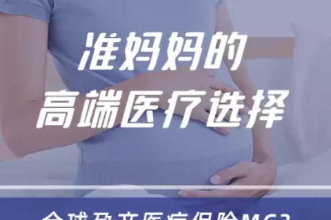 大地MSH全球孕产医疗保险-保险超市
