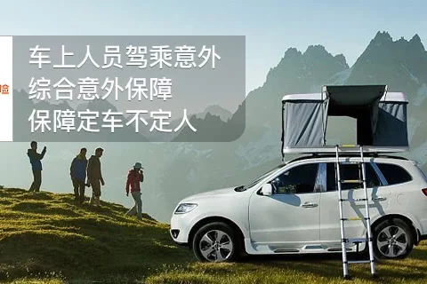 平安全车驾乘险2022-保险超市