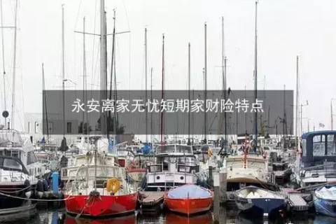 永安离家无忧短期家财险-保险超市