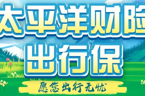 太平洋出行保神州畅行(互联网专属)-保险超市
