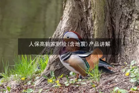 人保高额家财险(含地震)-保险超市