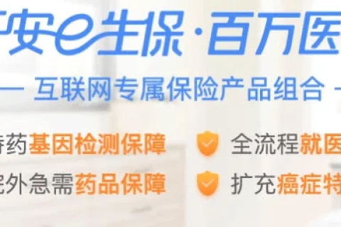 平安e生保·互联网全家福保险产品组合-保险超市