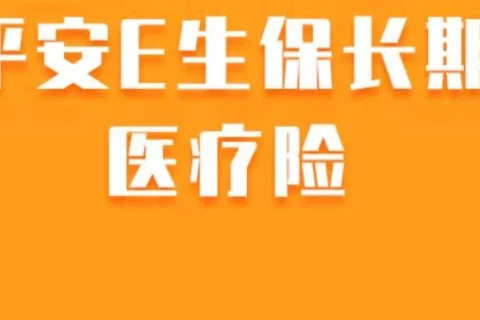 平安e生保互联网特需医疗保险(互联网专属)-保险超市