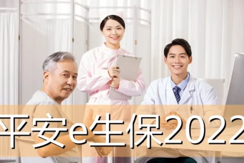 平安e生保互联网医疗2022保险产品组合-保险超市
