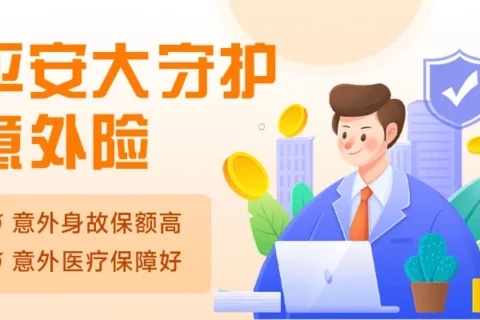 平安大守护意外险(互联网专属)-保险超市