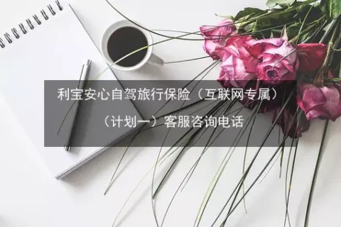 利宝游-安心自驾(互联网专属)-保险超市