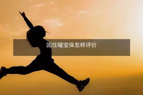 国任暖宝保医疗保险(互联网专属)-保险超市