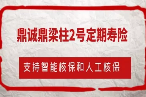 鼎诚鼎梁柱2号定期寿险(互联网专属)-保险超市