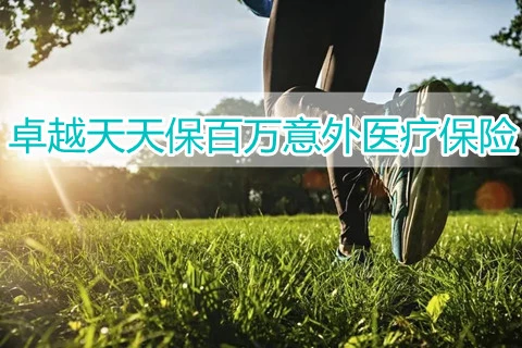 安盛天平卓越天天保百万意外医疗保险(互联网专属)-保险超市