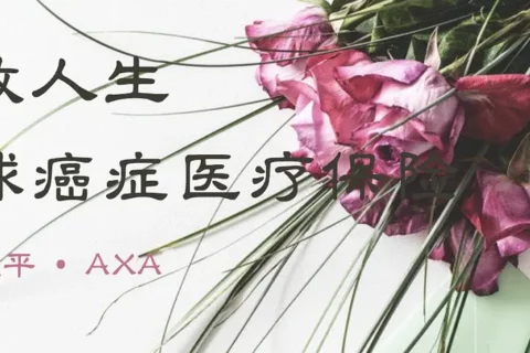 安盛天平盛放人生全球癌症医疗保险(互联网专属)-保险超市