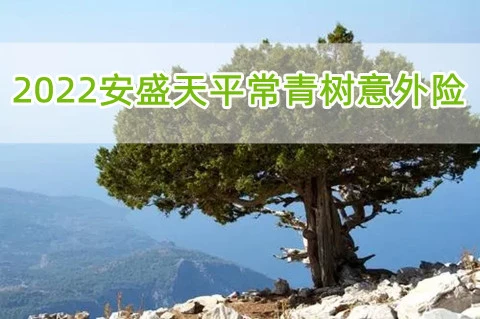 安盛天平常青树人身意外伤害综合保险-保险超市