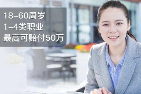 大地大保镖2号意外险-综合版-保险超市