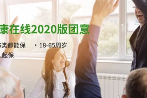 泰康2020版团意险-保险超市