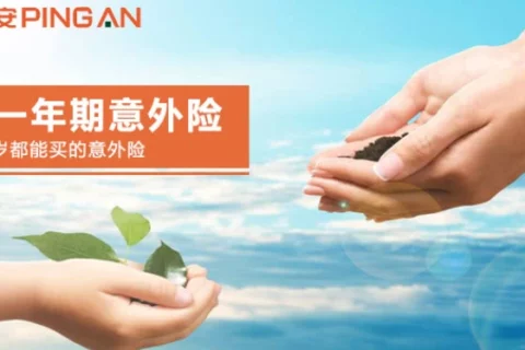 平安个人一年期意外险-保险超市