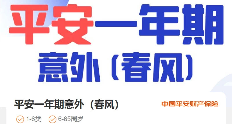 平安一年期意外(春风)-保险超市