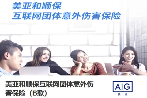 美亚和顺保互联网团体意外伤害保险(B款)-保险超市