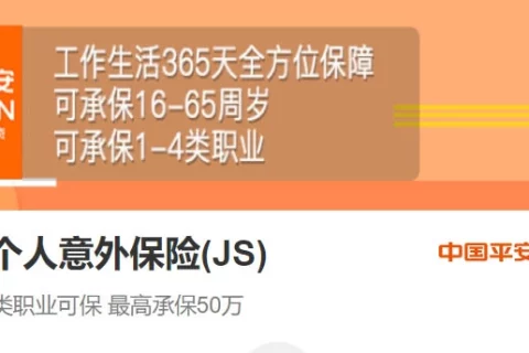 平安个人意外保险-保险超市