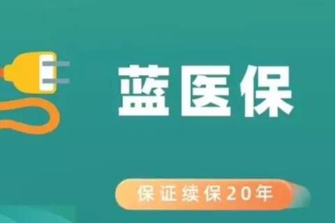 太平洋蓝医保长期医疗险(保证续保20年版)-保险超市