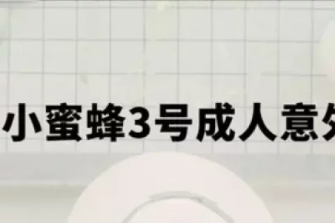 太平洋小蜜蜂3号综合意外险至尊版-保险超市