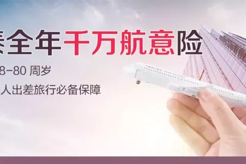 华泰全年千万航意险(带延误保障)-保险超市