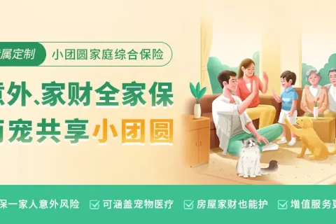 太平洋小团圆综合意外险合家版-保险超市