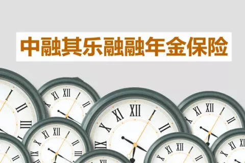 中融其乐融融年金险-保险超市