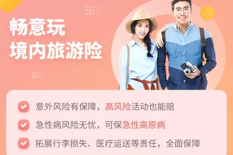 太平洋保险畅意玩境内旅游险-保险超市