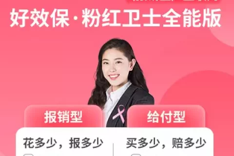 好效保·粉红卫士全能版(报销型)互联网-保险超市