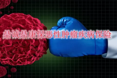 鼎诚鼎康保恶性肿瘤疾病保险(互联网)-保险超市