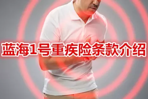 中华蓝海1号重疾险(免健康告知)-保险超市