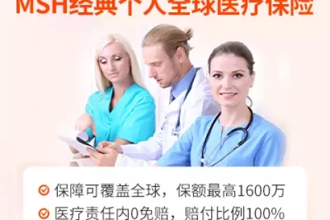 大地MSH经典个人全球医疗保险计划-保险超市