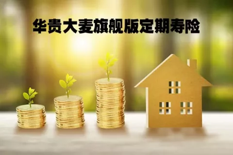 华贵大麦旗舰版定期寿险高额版(互联网专属)-保险超市