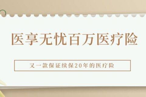 太平洋e享护医享无忧百万医疗险2023版(20年保证续保)-保险超市